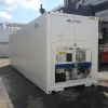 30 Feet Freezer Container Customized Mobile Cold Storage Cell Container / Reefer